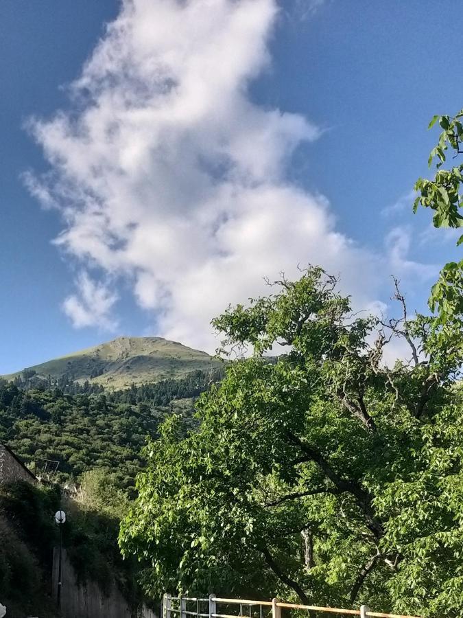 Το Σπίτι Της Ευτυχίας Σουίτα Apartment Karpenisi Bagian luar foto
