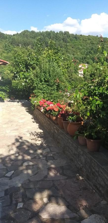 Το Σπίτι Της Ευτυχίας Σουίτα Apartment Karpenisi Bagian luar foto