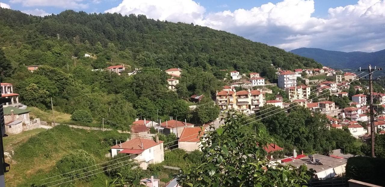 Το Σπίτι Της Ευτυχίας Σουίτα Apartment Karpenisi Bagian luar foto
